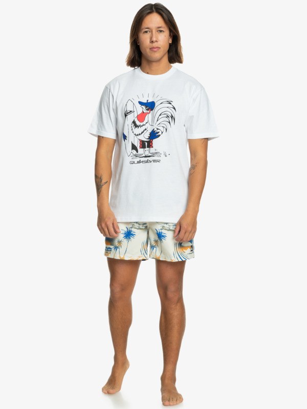 France Surf  EQYZT07936