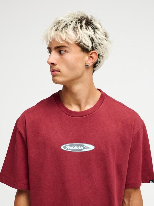 Disk  EQYZT08463