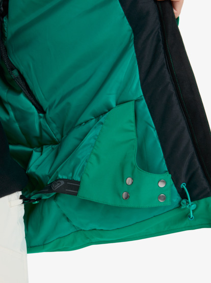 roxy, Brylee 10K - Veste de snow technique pour Femme, VIVID GREEN (gnw0) Brylee - Technical Snow Jacket for Women  ERJTJ03530