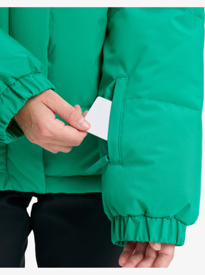 roxy, Snow Winter Rebel 10K - Veste de snow technique pour Femme, VIVID GREEN (gnw0) Snow Winter Rebel - Technical Snow Jacket for Women  ERJTJ03545