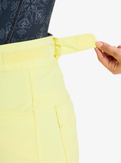 roxy, Backyard - Technical Snow Pants for Women, YELLOW PEAR (yfk0) Backyard - Technical Snow Pants for Women  ERJTP03299