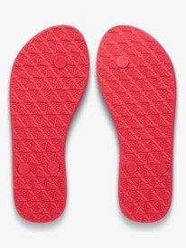 5 Viva Iv - Sandals for Women Red ARJL100663 Roxy