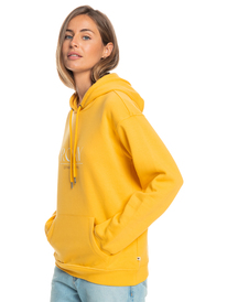 1 Surf Stoked Brushed - Kapuzenpulli für Frauen  ERJFT04616 Roxy