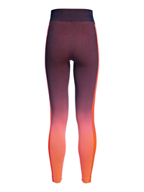 5 Artic Tracks - Technical Base Layer Leggings for Women Pink ERJNP03258 Roxy