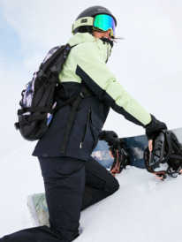 1 Gore-Tex Stretch Purelines - Snowboardjack voor Dames Green ERJTJ03461 Roxy