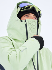 3 Gore-Tex Stretch Purelines - Snowboardjack voor Dames Green ERJTJ03461 Roxy