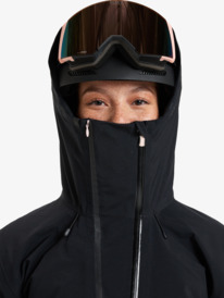 5 Gore-Tex Stretch Purelines - Snowboardjack voor Dames Pink ERJTJ03461 Roxy