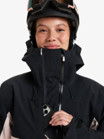 9 Gore-Tex Stretch Purelines - Snowboardjack voor Dames Pink ERJTJ03461 Roxy