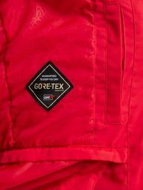 15 GORE‑TEX&reg; Drifter Rot ERJTJ03573 Roxy