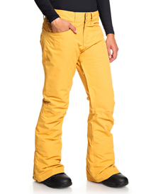 2 Backyard - Snow Pants for Women Yellow ERJTP03091 Roxy