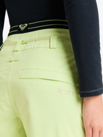 8 Passive Lines - Pantalon de snow pour Femme Vert ERJTP03269 Roxy