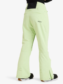 6 Diversion  - Schneehose für Frauen Grün ERJTP03276 Roxy