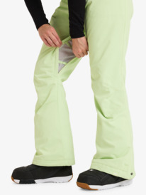 9 Diversion  - Snow broek voor Dames Green ERJTP03276 Roxy