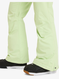 10 Diversion  - Schneehose für Frauen Grün ERJTP03276 Roxy