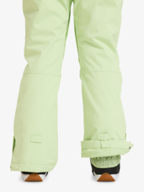 11 Diversion - Pantalon de snow pour Femme Vert ERJTP03276 Roxy