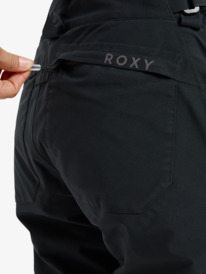6 GORE-TEX® Stretch Spridle - Technical Snow Pants for Women Black ERJTP03289 Roxy