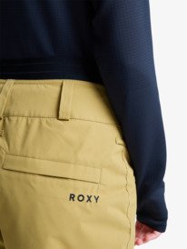 5 Passive Lines - Technical Snow Pants for Women Beige ERJTP03293 Roxy