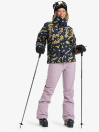 2 Diversion - Technical Snow Pants for Women Purple ERJTP03298 Roxy