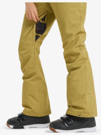 5 Diversion - Technical Snow Pants for Women Beige ERJTP03298 Roxy