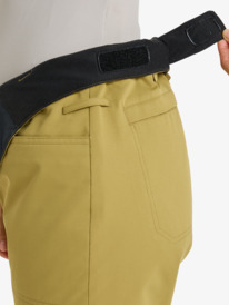 8 Diversion - Technical Snow Pants for Women Beige ERJTP03298 Roxy
