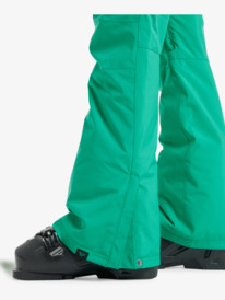 6 Backyard - Technical Snow Pants for Women Green ERJTP03299 Roxy