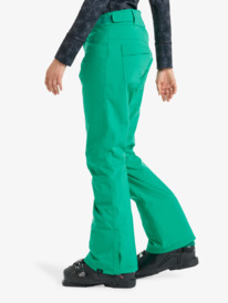 1 Backyard - Technical Snow Pants for Women Green ERJTP03299 Roxy