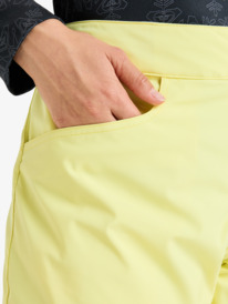 5 Backyard - Technical Snow Pants for Women Yellow ERJTP03299 Roxy