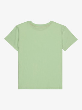 roxy, Orchid Art - Short Sleeve T-Shirt for Girls 4-16, PISTACHIO GREEN (ged0) Orchid Art - Short Sleeve T-Shirt for Girls 4-16  ERGZT04142