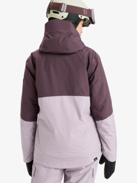roxy, GORE-TEX® Stormday - Veste de snow technique pour Femme, NIRVANA (pjq0) GORE-TEX® Stormday - Technical Snow Jacket for Women  ERJTJ03507