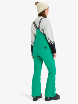 roxy, Summit - Salopette de snow technique pour Femme, VIVID GREEN (gnw0) Summit - Technical Snow Bib for Women  ERJTP03291