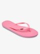PLUMERIA (pla)