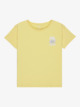 LEMON DROP (yfc0)