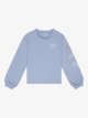 BLUE BLIZZARD (bkj0)