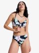 ANTHRACITE SPRING CHARMING (kvj5)