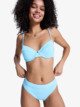 TANAGER TURQUOISE (gcz1)