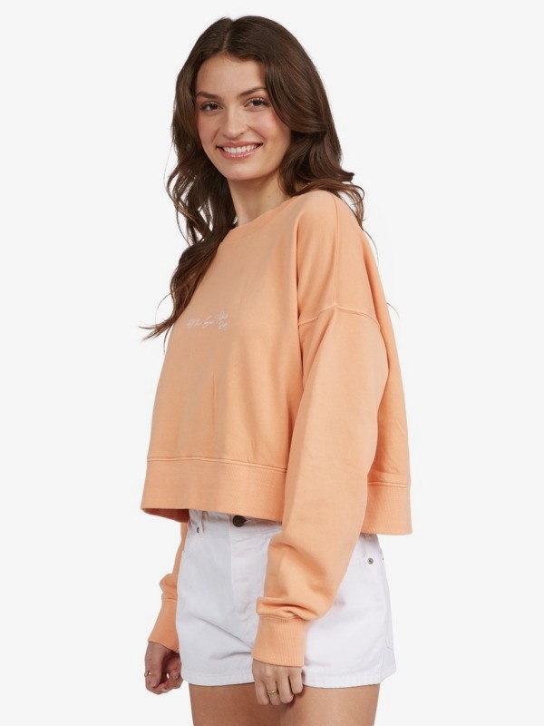 3 Dream Of Aloha - Sweat pour Femme  ARJFT03924 Roxy