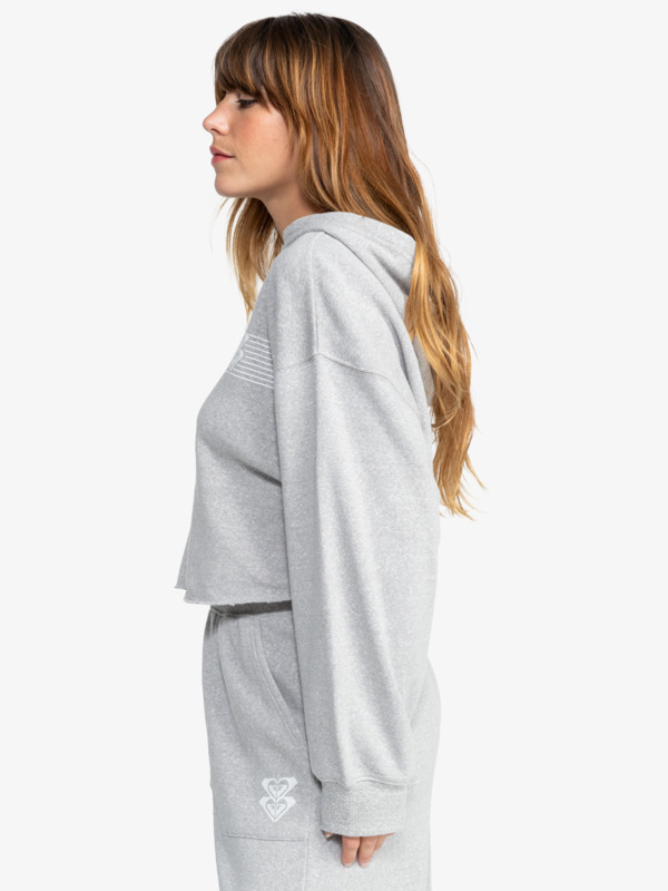 6 Afternoon Hike - Sweat à capuche pour Femme Gris ERJFT04904 Roxy