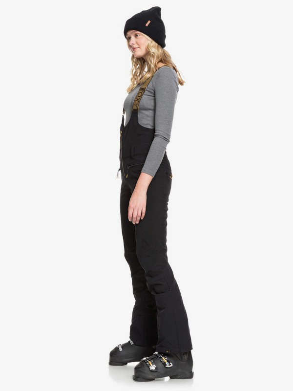Roxy women's torah bright summit snow pants new arrivals