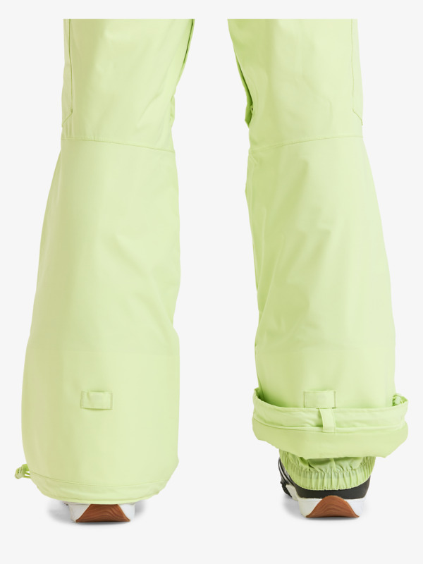 10 Passive Lines  - Pantalón de snow para Mujer Verde ERJTP03269 Roxy