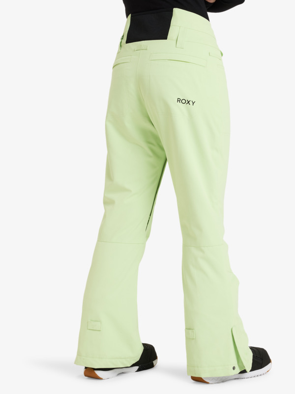 6 Diversion - Pantalon de snow pour Femme Vert ERJTP03276 Roxy