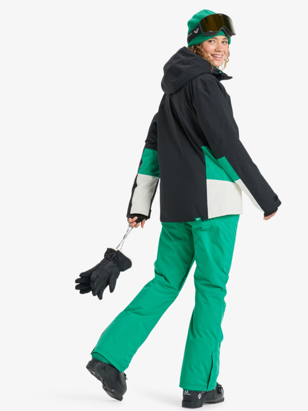 4 Backyard - Technical Snow Pants for Women Green ERJTP03299 Roxy