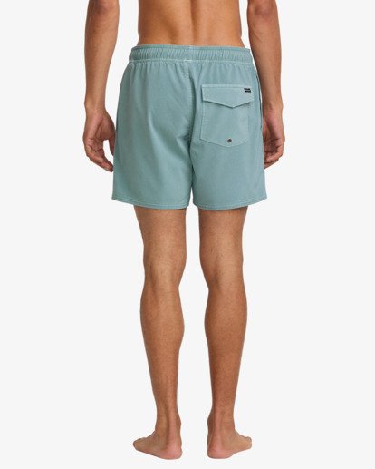 VA Pigment 16" - Board Shorts for Men  23A251502