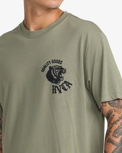 Big Cat  23MS433600