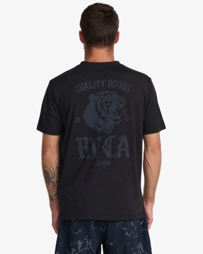 Big Cat  23MS433600