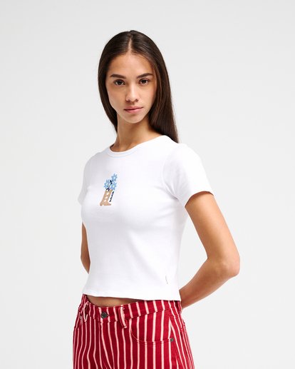 Sow Rib  EVJKT03006