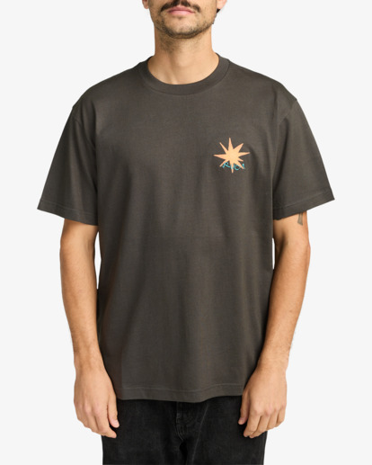 rvca, Pegasus - Short Sleeve T-Shirt for Men, PIRATE BLACK (ptk) Pegasus - Short Sleeve T-Shirt for Men  EVYZT00294