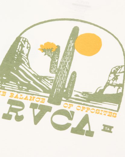 Saguaro Canyon  EVYZT00382