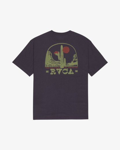 Saguaro Canyon  EVYZT00382