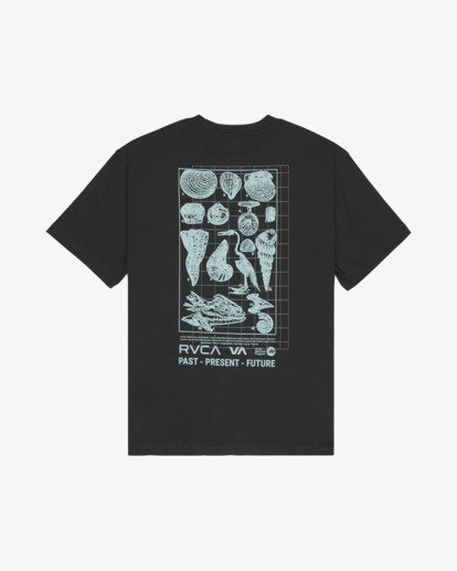 Crustaceous  EVYZT00384