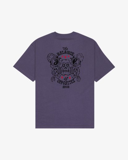 Dalas Balance  EVYZT00387